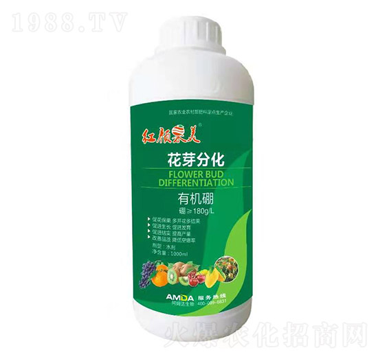 有機硼-紅顏果美-阿姆達