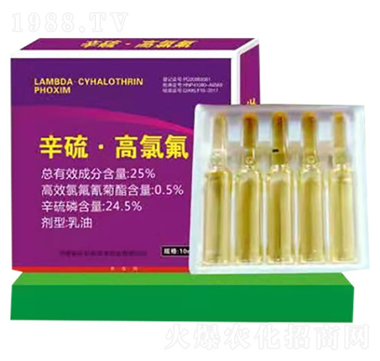 25%���򡤸��ȷ�-���ְ���