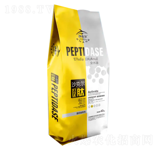 ɳ�ˠ��İ׽�-������-�������r(n��ng)�I(y��)