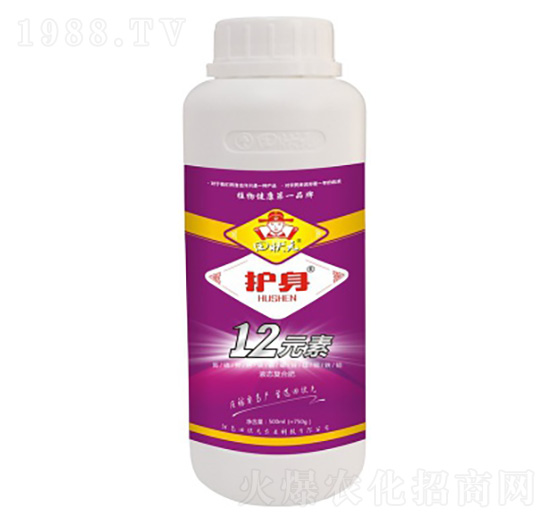 12Ԫ��-���Ԫ