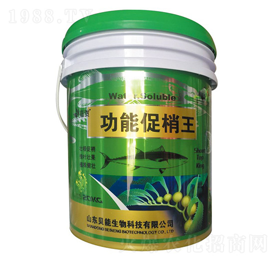 ���ܴ�����-ؐ������