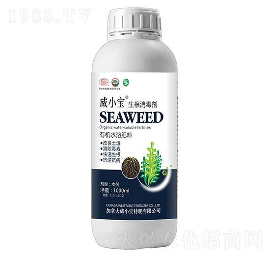 ����������-��С��-��巉�(m��ng)