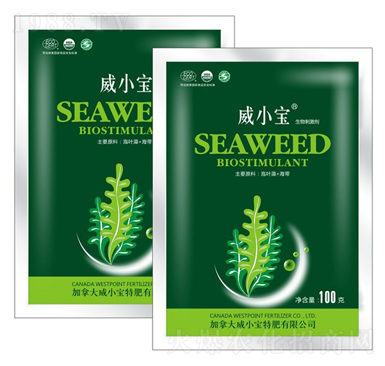 ����̼���-��С��-��巉�(m��ng)