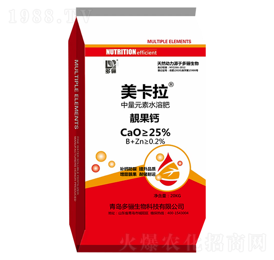 �n���} ������ ���P����