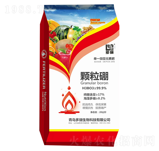 �w���� ���P����