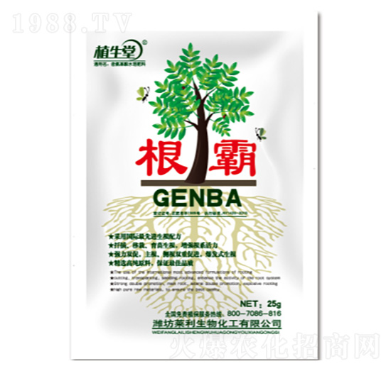 ���� �R������