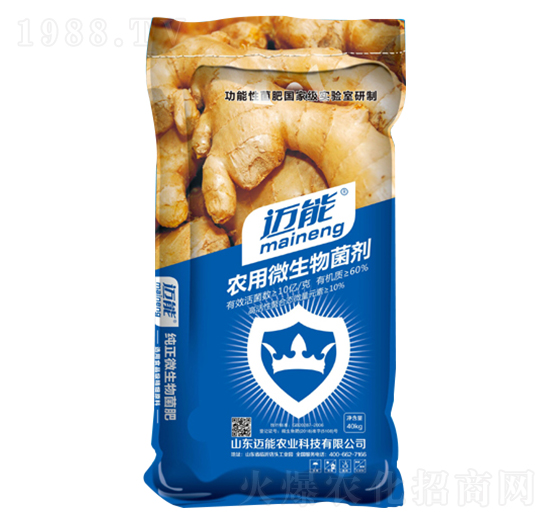 大姜專(zhuān)用農(nóng)用微生物菌劑-邁能農(nóng)業(yè)