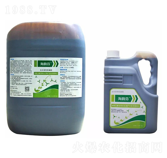 ������ �S������