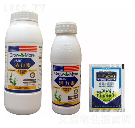 �S�������� �S������