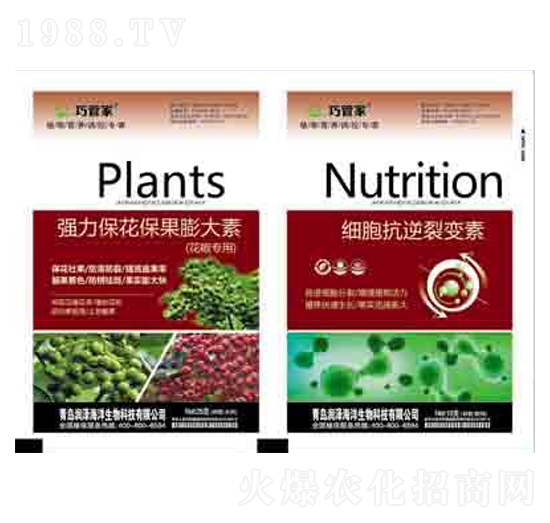 �����������������+��(x��)��������׃�� ����