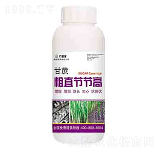 �����ֱ��(ji��)��(ji��)�� ��(r��n)��