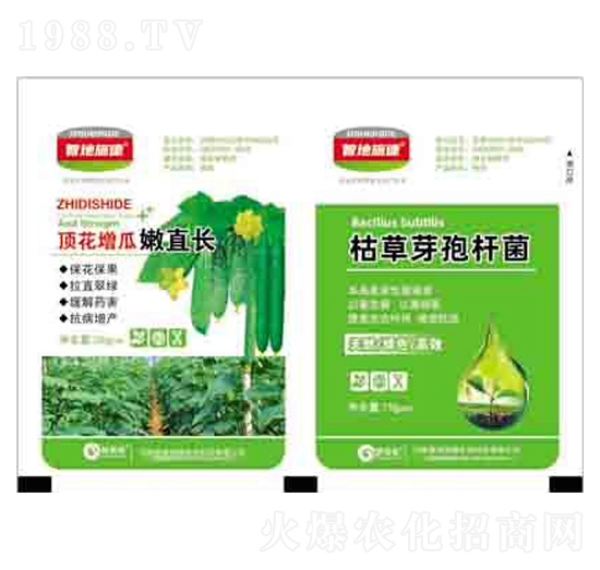 頂花增瓜嫩直長+枯草芽孢桿菌 潤澤