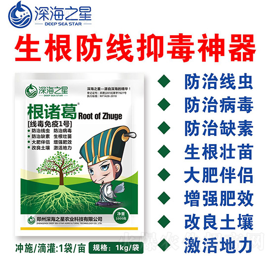 ��������1̖-���T��-�֮��