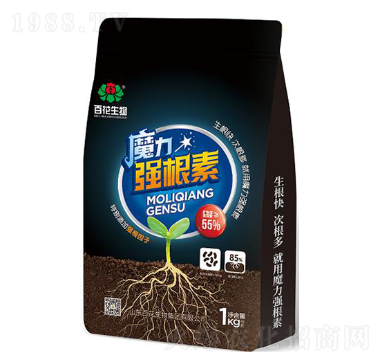 ħ�������� �ٻ�����