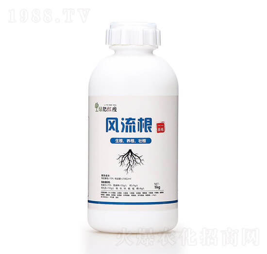 風流根（生根養(yǎng)根壯根）綠肥紅瘦