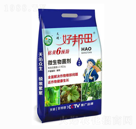 枯黃6預防 好邦田 天碩
