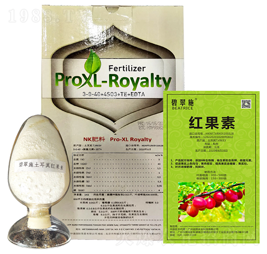 �̴�ʩ���t���� ����r(n��ng)�I(y��)