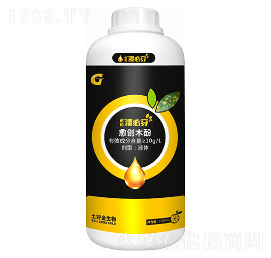 ���ش� ���ý�