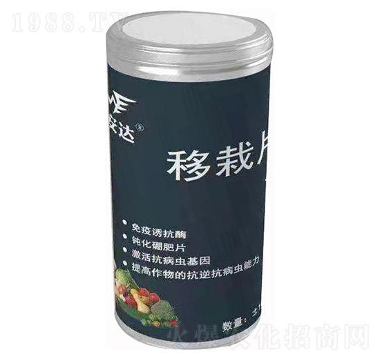 移栽片 邁安達