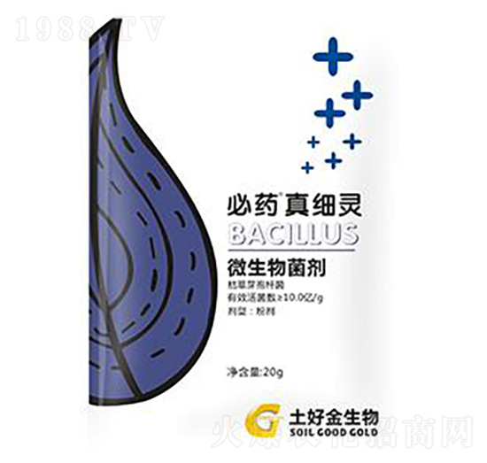 20g�漚�` ���ý�