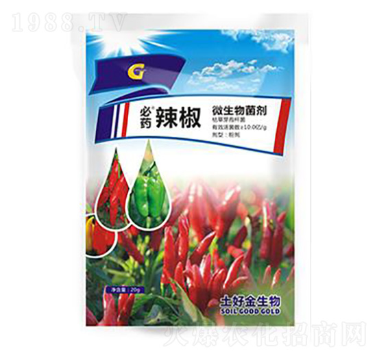 20g���� ���ý�