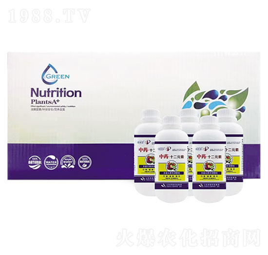 ��ˎ ��ʮ��Ԫ��-�W�����F