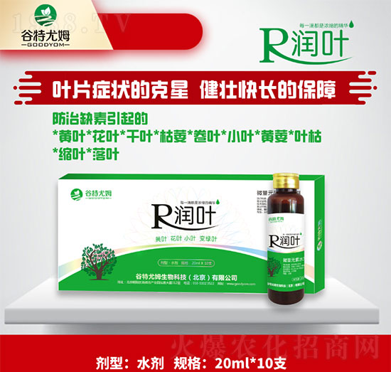 潤葉-黃葉、花葉、小葉變綠葉-谷特尤姆