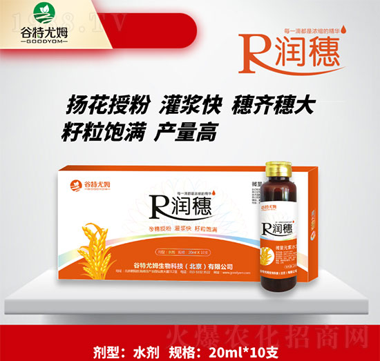 潤穗-孕穗授粉，灌漿快，籽粒飽滿-谷特尤姆