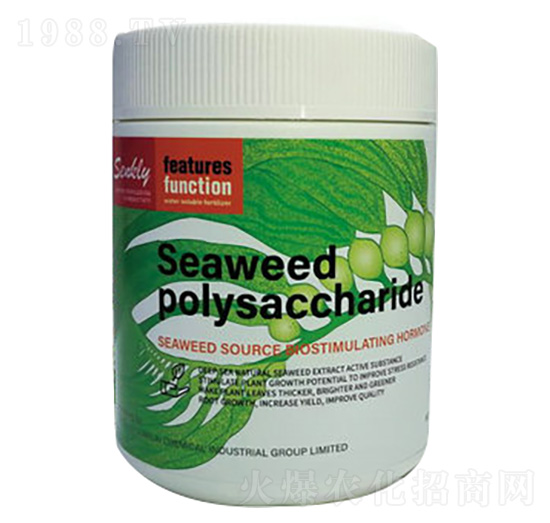 ������ǣ��M�ڣ�-���a(ch��n)��