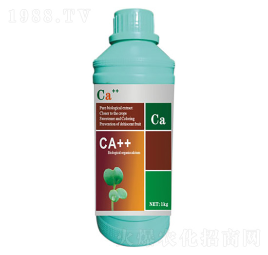 �����ЙC(j��)���}��-�Ǵ��}-����S