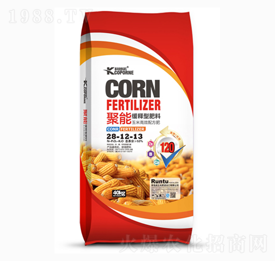 ��ጷ���28-12-13-�����Z-����