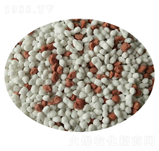 ���׷���w��-���M(m��n)̩-��ɭ�ʘI(y��)