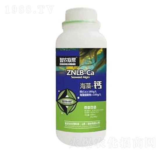 �����}-���_