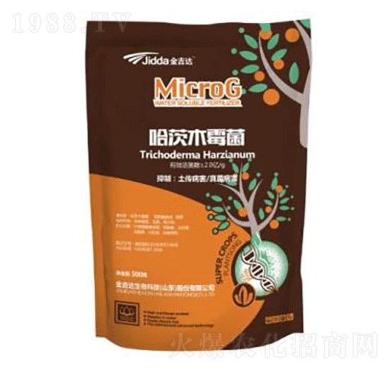 ����ľù��-���_