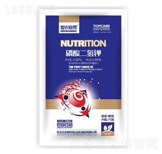 ��������-���_