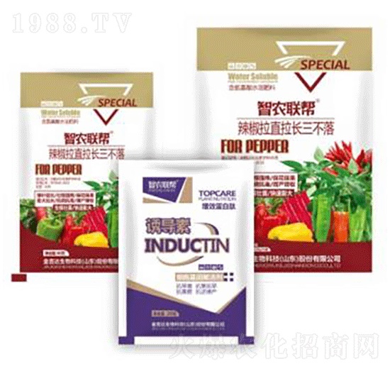 ������ֱ���L(zh��ng)������-���_(d��)