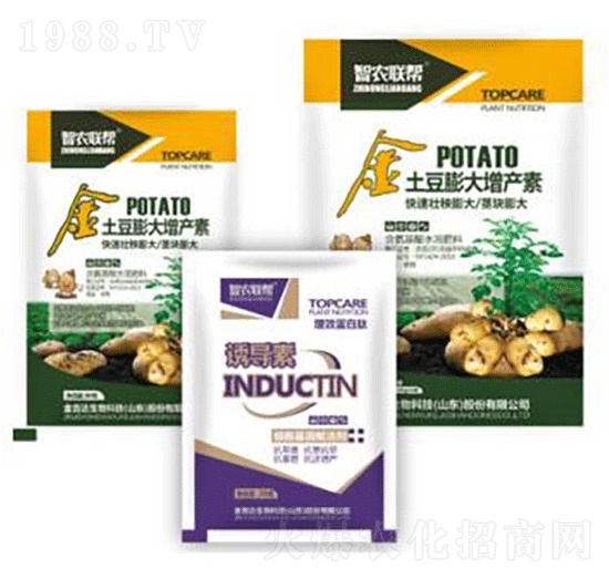 ����������a(ch��n)��-���_