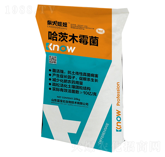 哈茨木霉菌-柴火妞妞-藍寶石