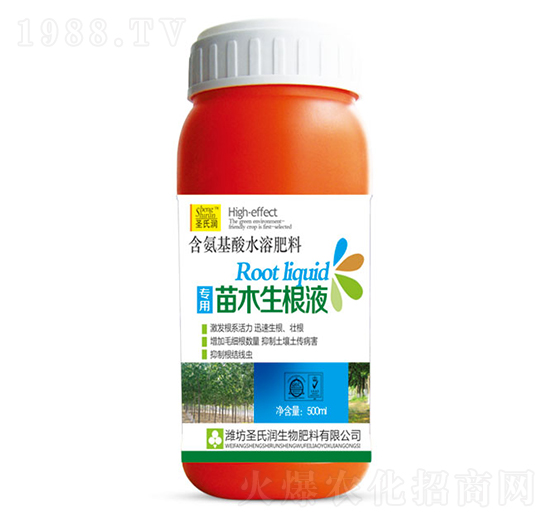 ��ľ����Һ-ʥ�ϝ�(r��n)