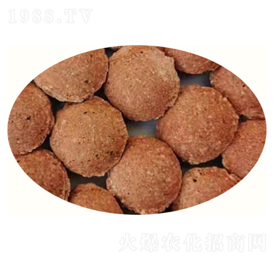 �Һ��͏�(f��)�Ϸ�-�߸�