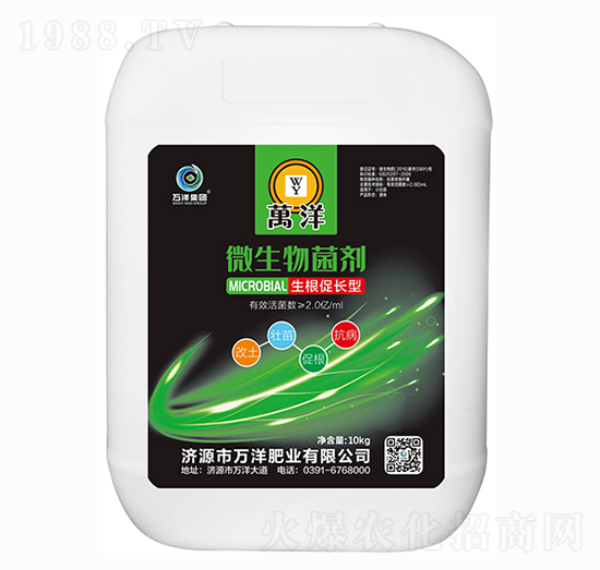 生根促長(zhǎng)型微生物菌劑-萬洋肥業(yè)