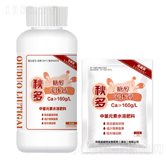 �Ǵ����w�}-���-�����Z����