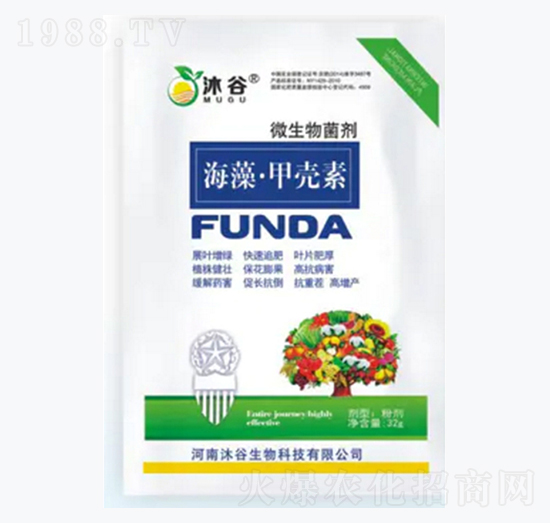 ����ך���-�������