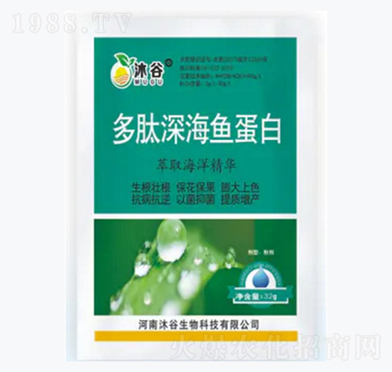 ������~����-�������