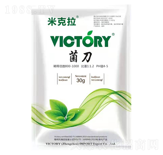 ����-�׿���-�S������