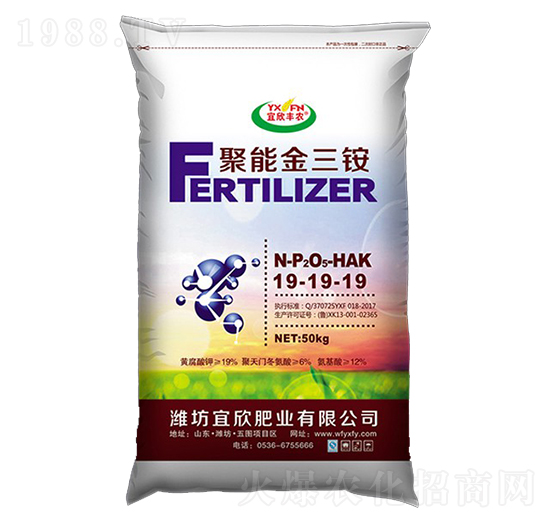 ���ܽ����@19-19-19-�����S�r(n��ng)