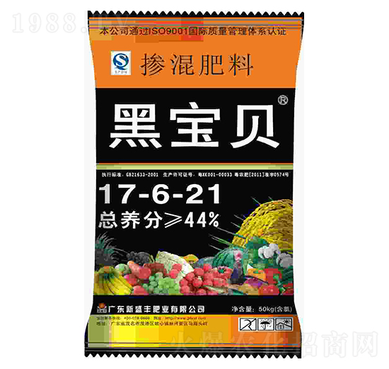 �������17-6-21-�ڌ�ؐ-��ʢ�S