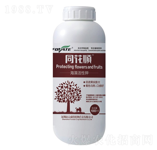 ͬ��혺�������-������