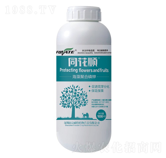 ͬ��혺���ۺ����-������