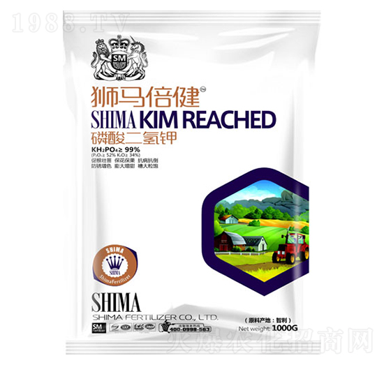 ��������-�{�R����-�{�R�ʘI(y��)